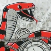 t-shirt 2